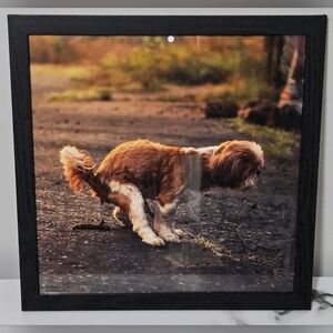 Pooping Shih Tzu Framed Photo (12"x12")